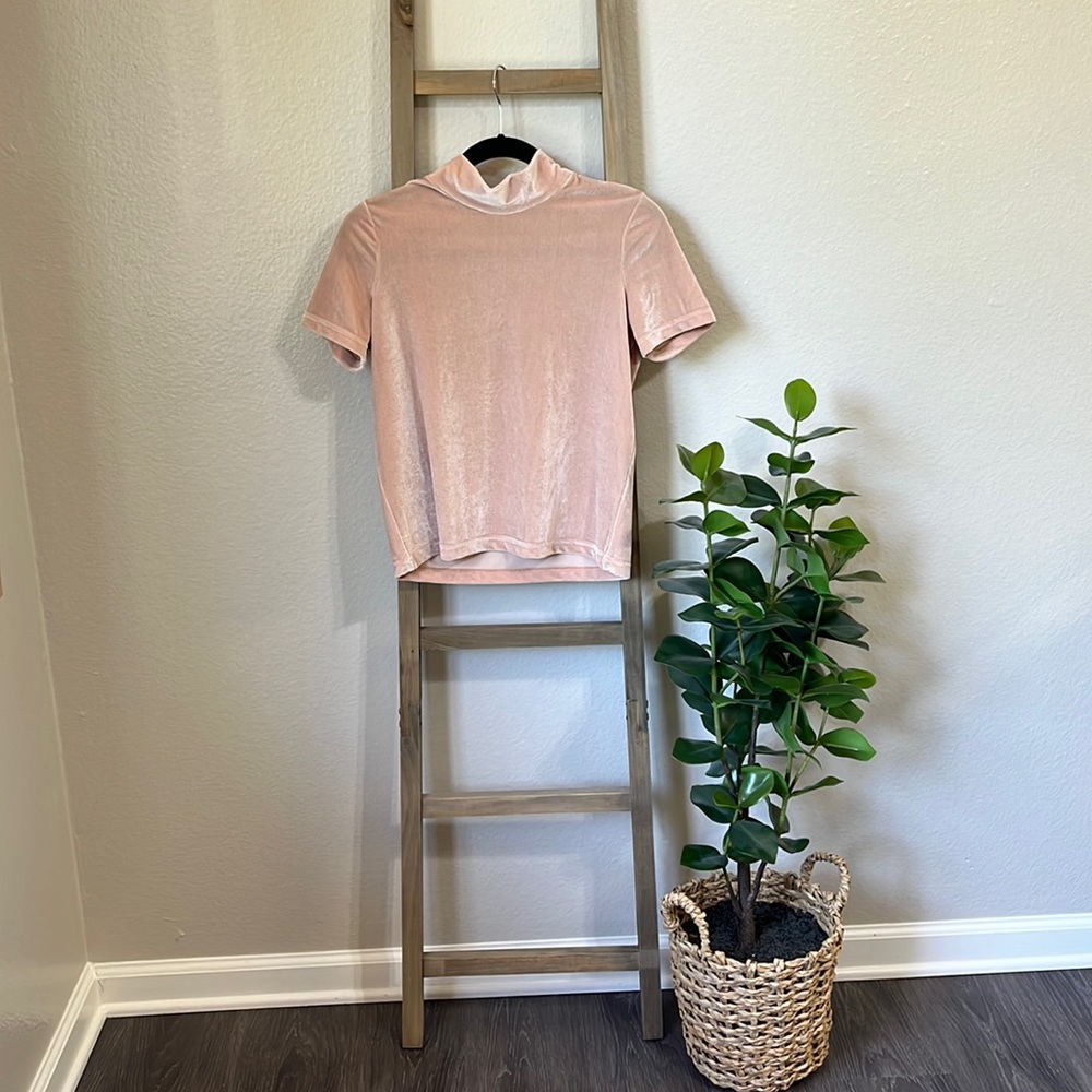 Madewell Light Pink Velvet Mock Neck Top